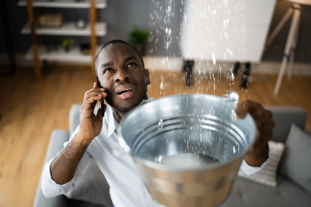 Best Water damage restoration near me  in South Monroe, MI