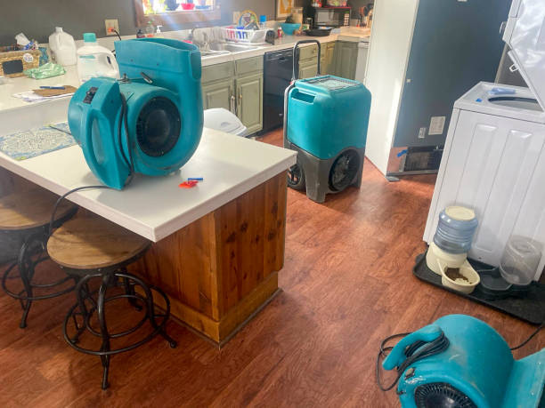 Best Carpet water damage restoration  in South Monroe, MI