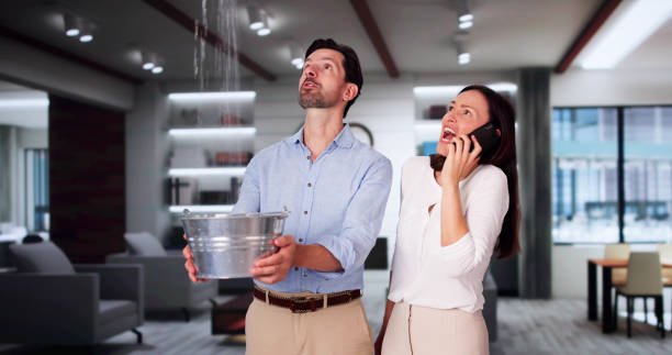 Best Residential water damage restoration  in South Monroe, MI