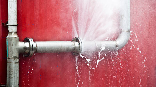 Best Commercial water damage restoration  in South Monroe, MI