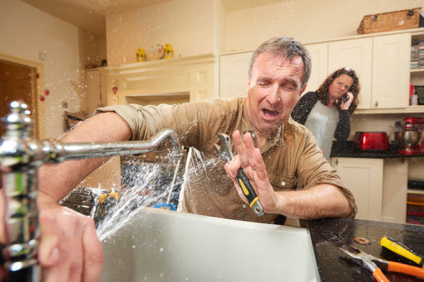 Best Water damage restoration experts  in South Monroe, MI